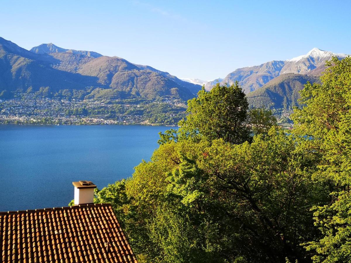 1 Zimmer Apartment Mit Seesicht Und Pool Gambarogno Esterno foto