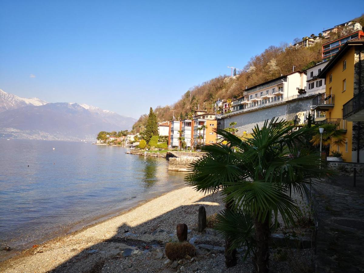 1 Zimmer Apartment Mit Seesicht Und Pool Gambarogno Esterno foto
