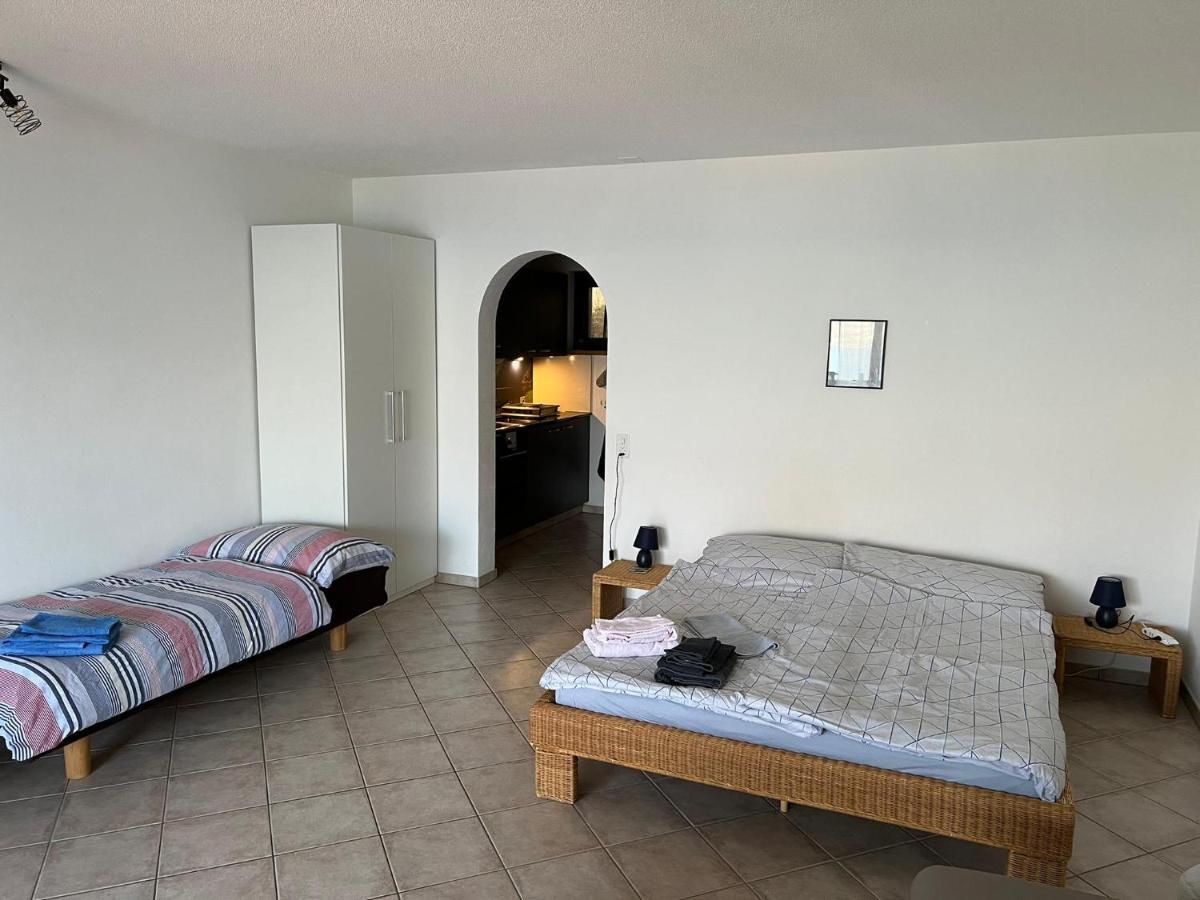 1 Zimmer Apartment Mit Seesicht Und Pool Gambarogno Esterno foto